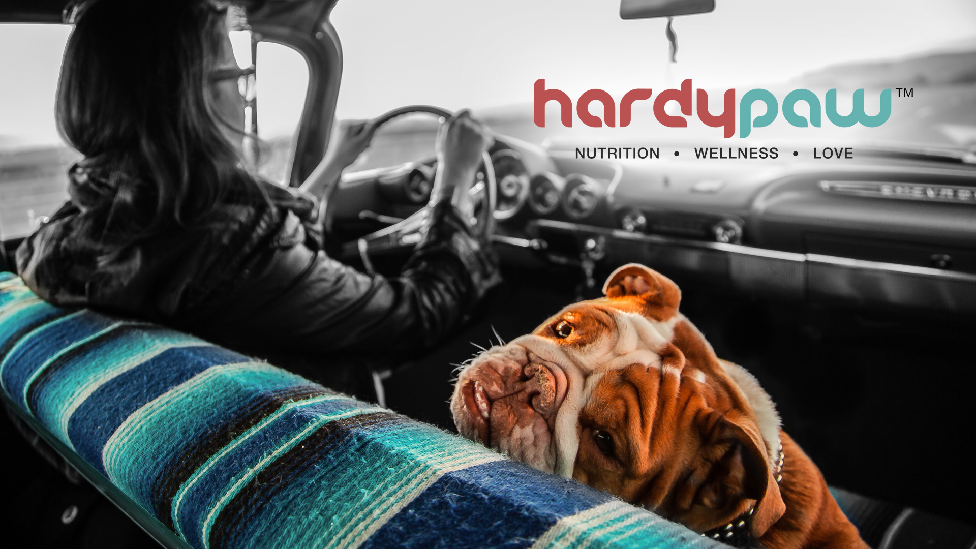 Premium pet products